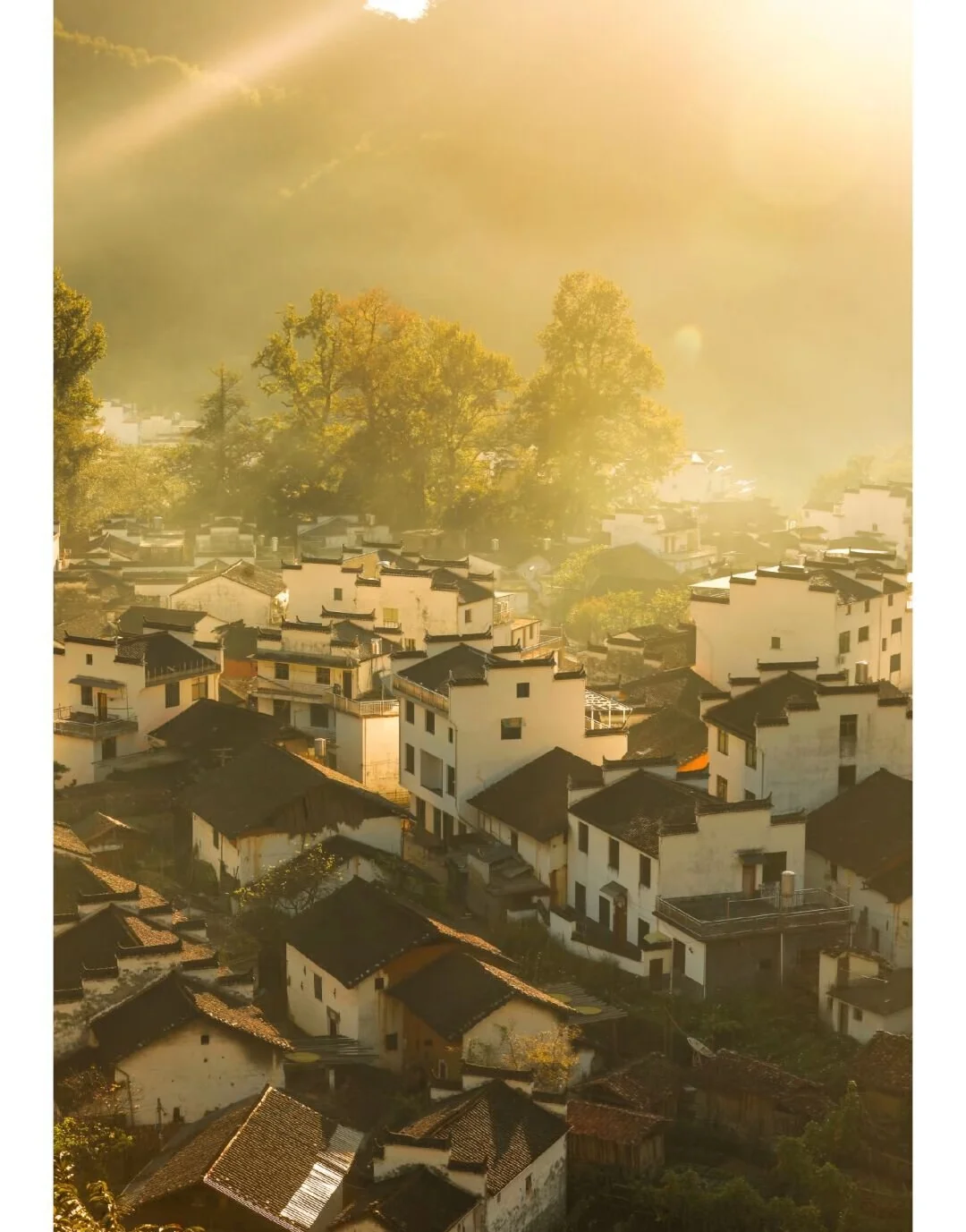 这个骚地方勾引了我好久了😍