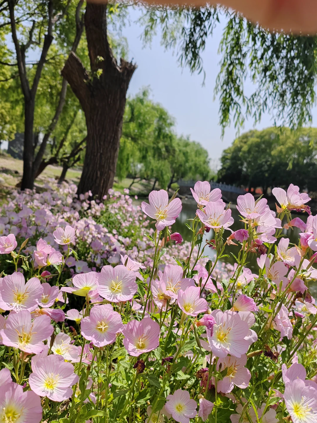 4.25日记
