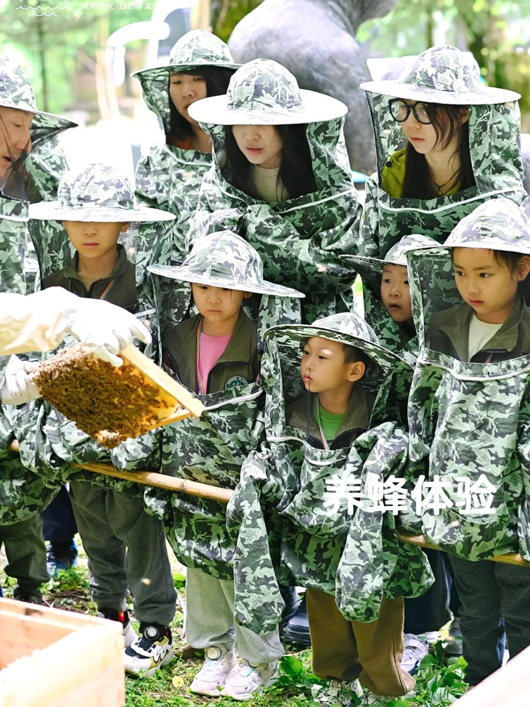 在崇左和恩施之间选择了恩施，冷门带娃绝了