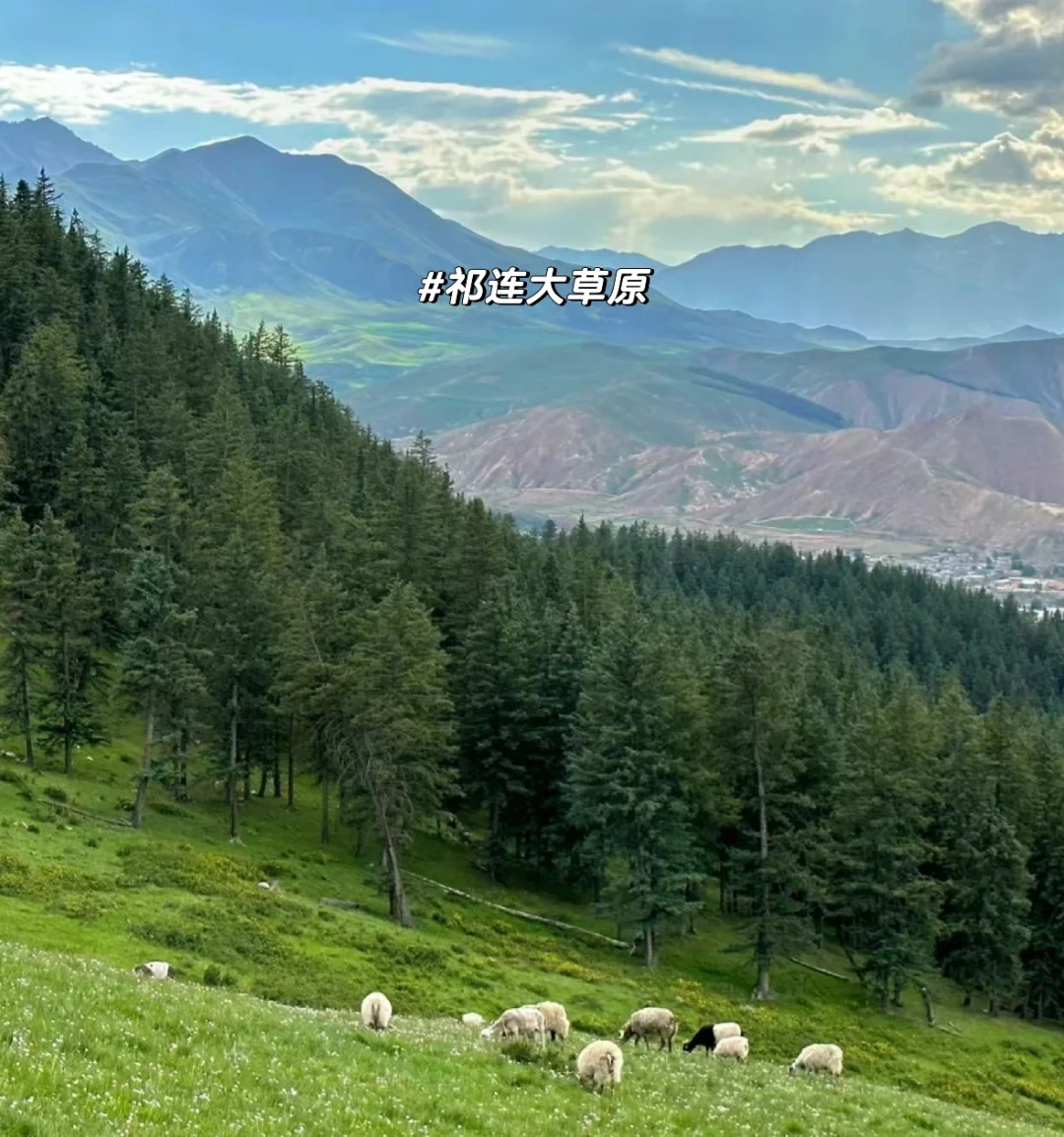 淡季去青甘🌊价格实惠人又少😎