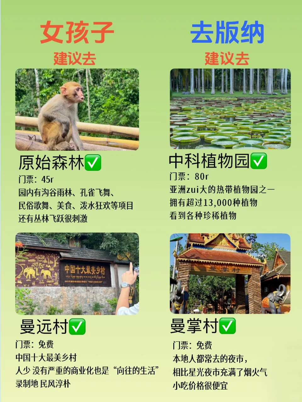 👧女孩第一次去西双版纳保姆级旅游攻略