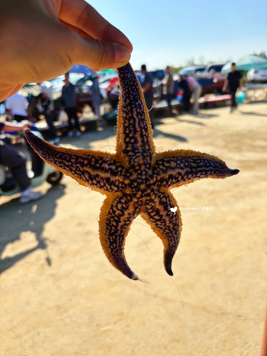 青岛现状，5月要去旅游的尽早改行程