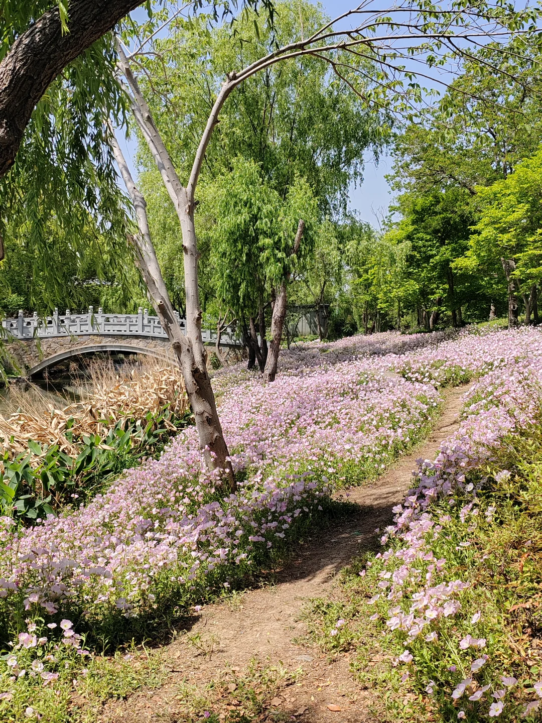 4.25日记