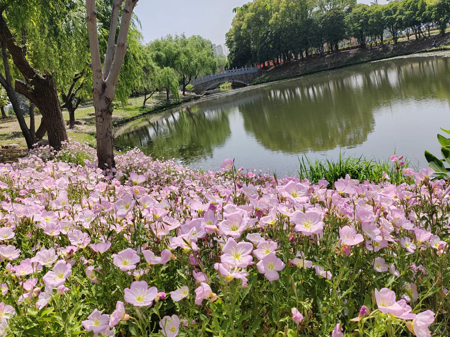 4.25日记