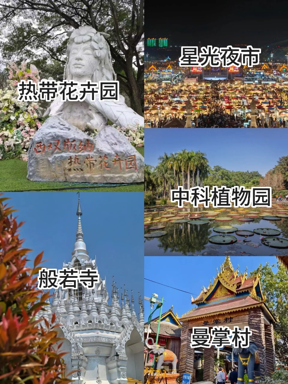 👧女孩第一次去西双版纳保姆级旅游攻略