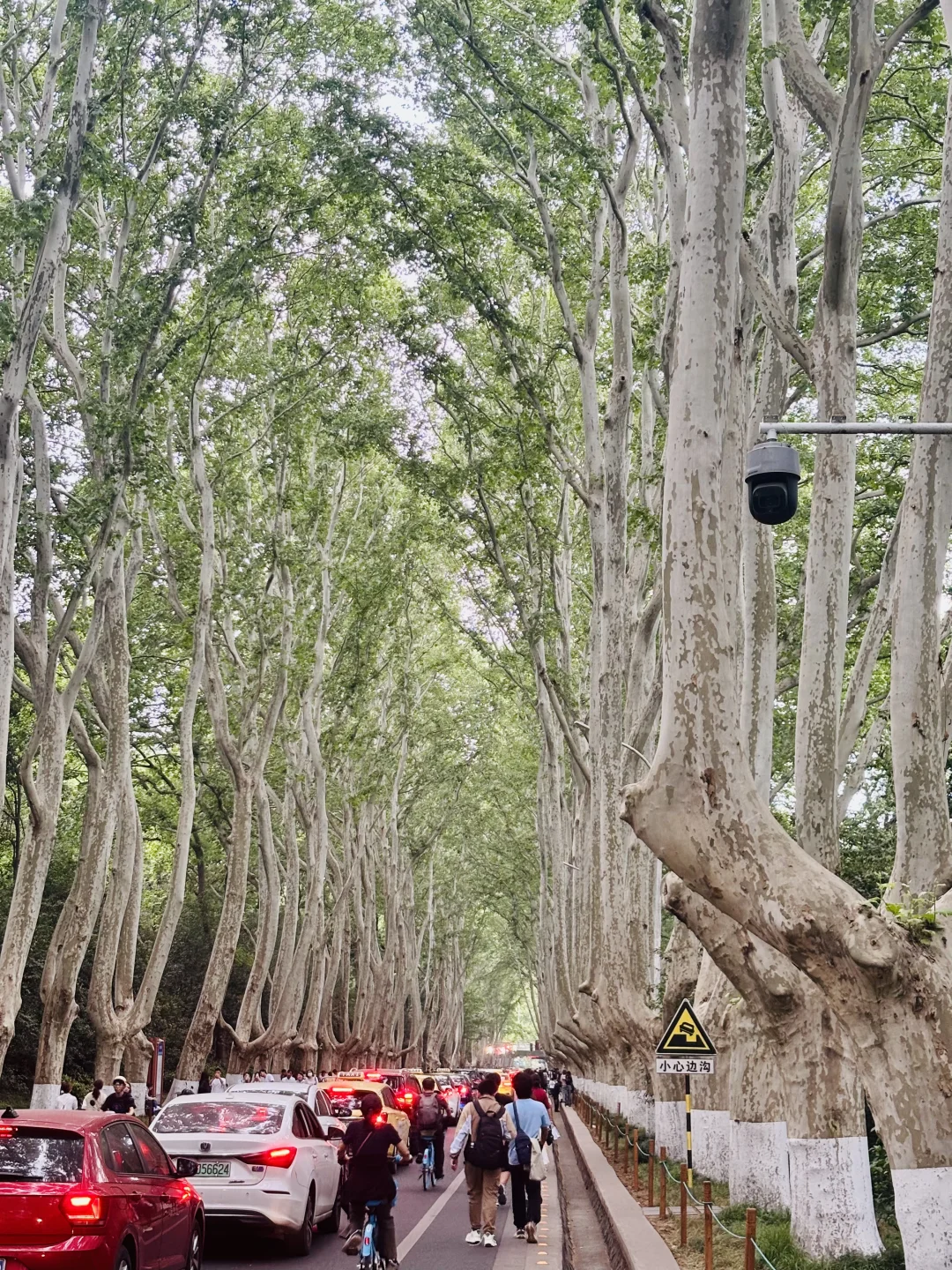明孝陵景区