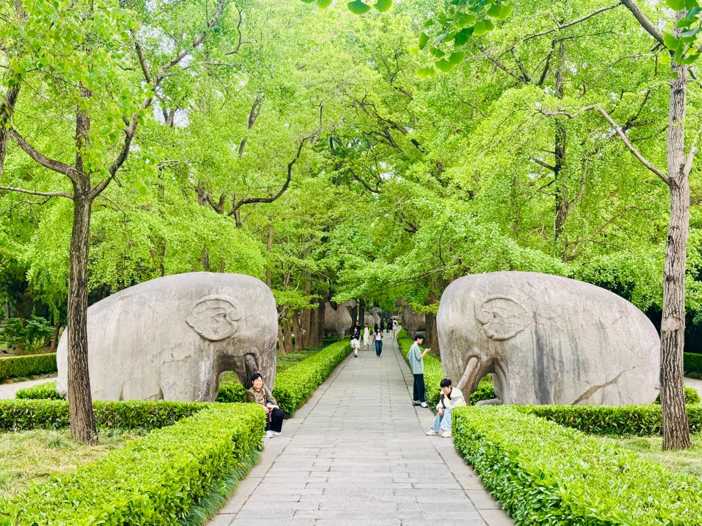 明孝陵景区