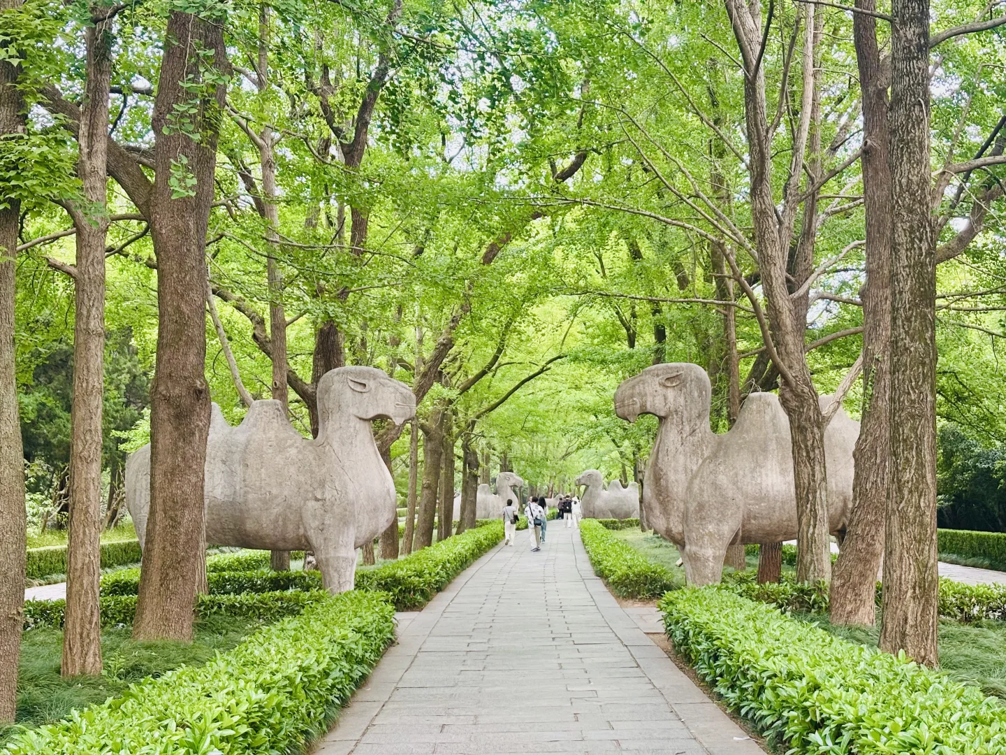 明孝陵景区