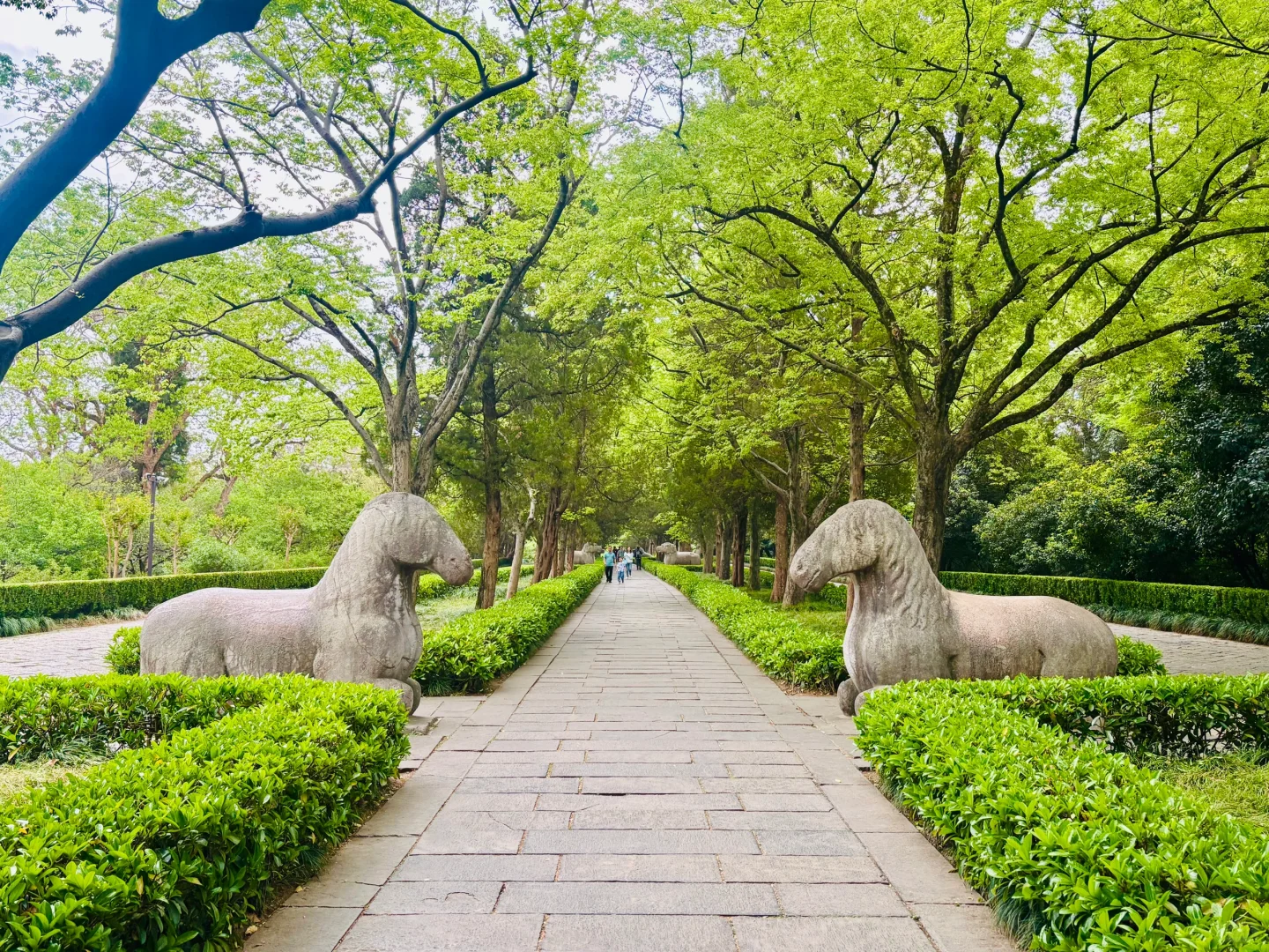 明孝陵景区