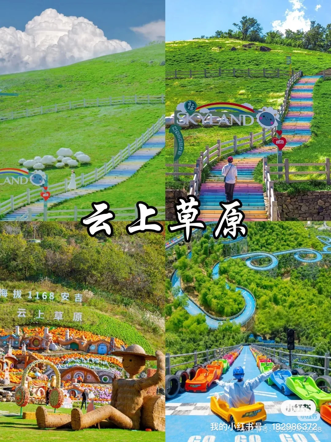 五一求攻略搭子