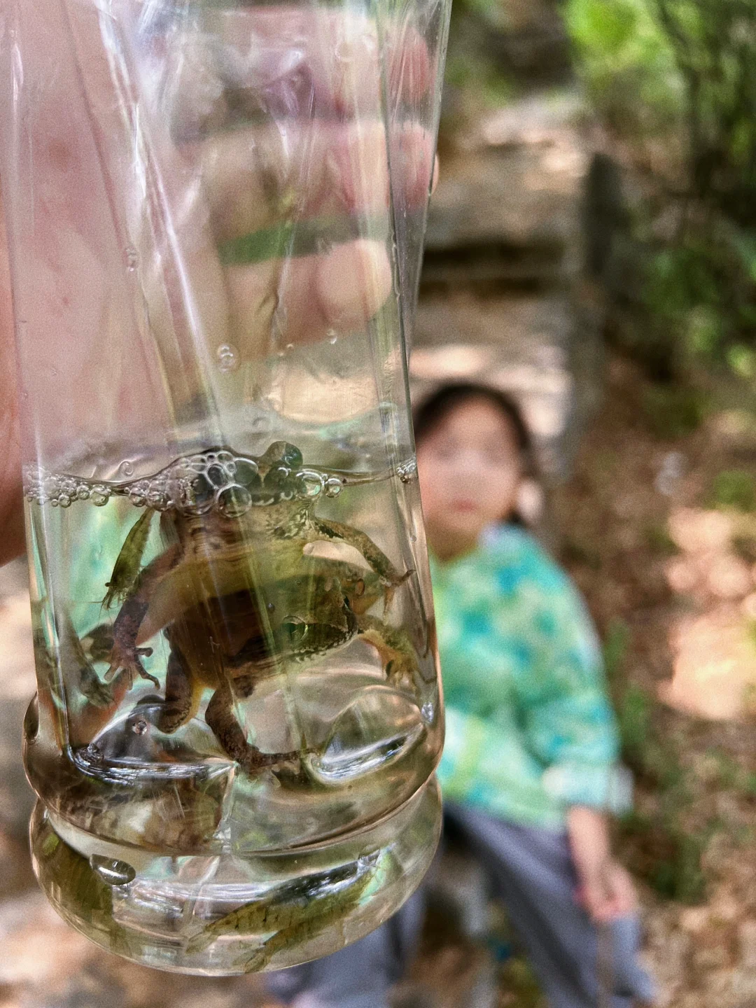 🎉探秘十八里河🌊自然美景，亲子游的好去处！