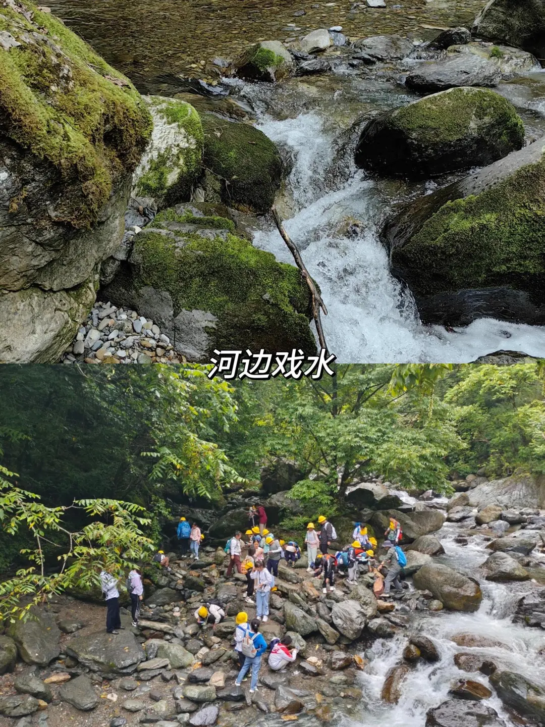 在贵州和恩施之间选择了恩施，冷门带娃绝了
