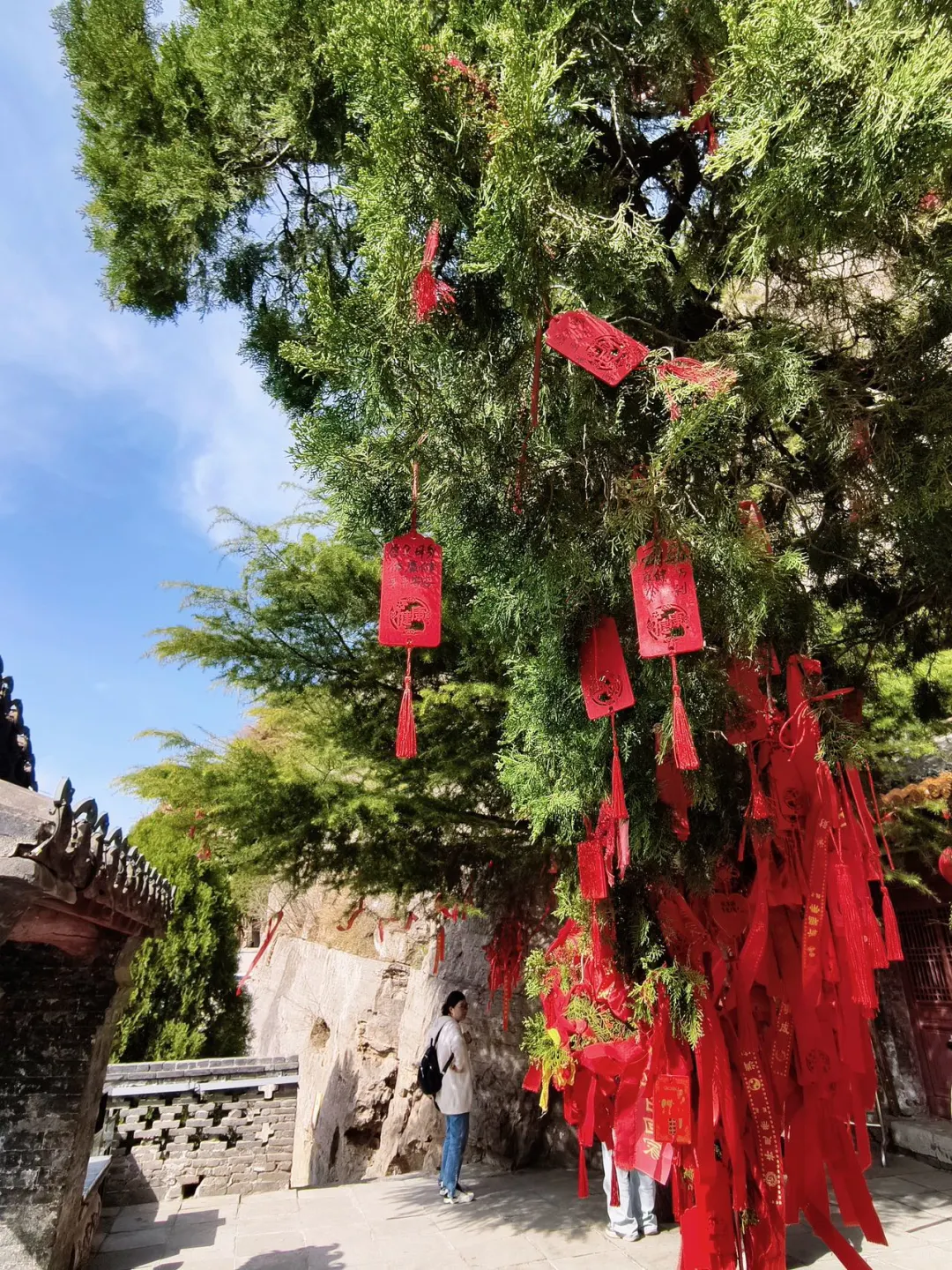 邯郸必去九大景点 | 直呼yyds✨