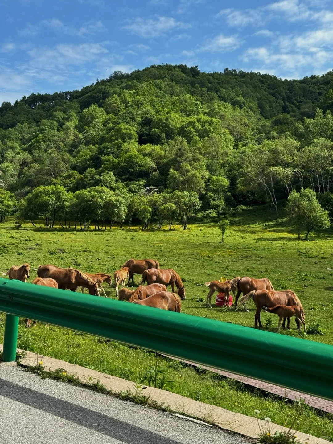 宝鸡必打卡的9大景区！
