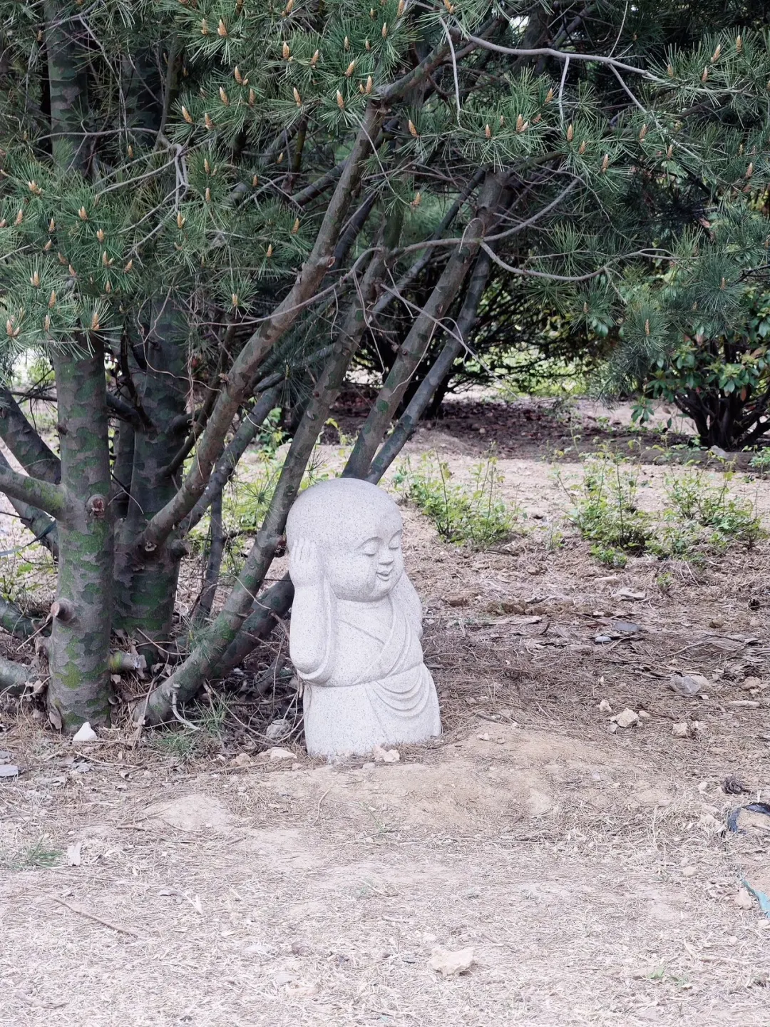 邯郸必去九大景点 | 响堂山的神秘魅力