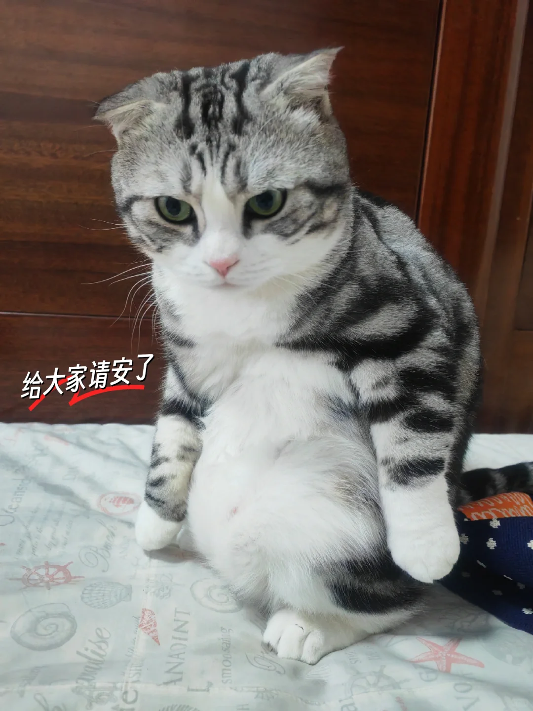 求助哪个景区不鸡肋