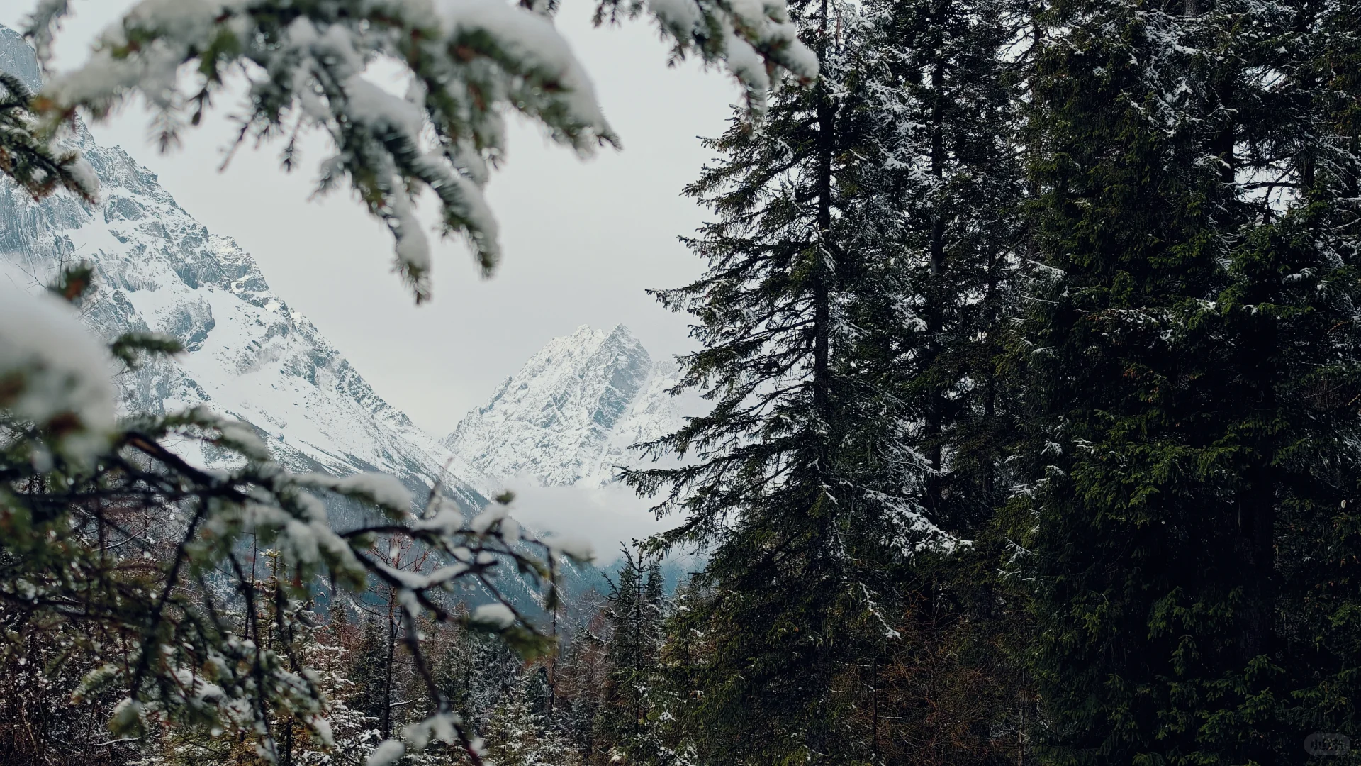 双桥沟雪景