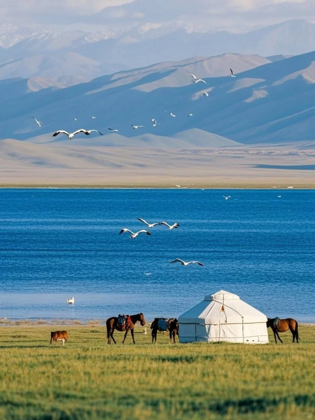 西北必去九大景点📸刷爆朋友圈的打卡地!