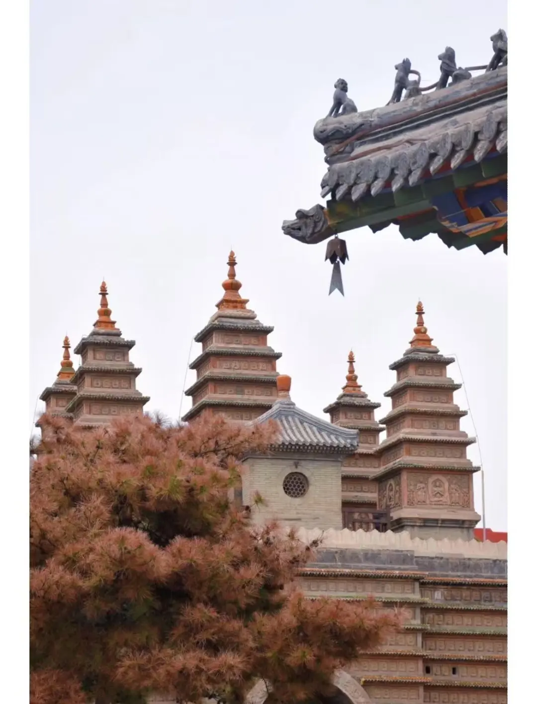 内蒙古·呼市周边游 | 五天四夜·人均5k