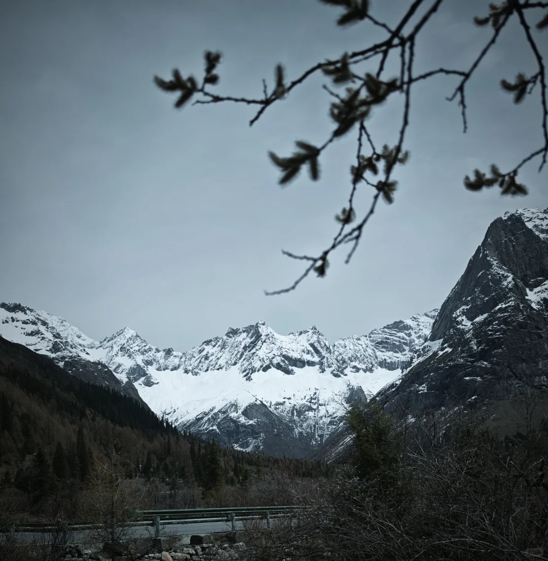 双桥沟雪景