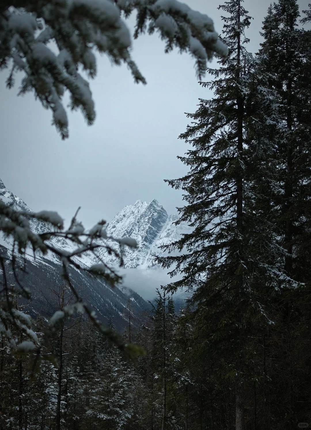 双桥沟雪景