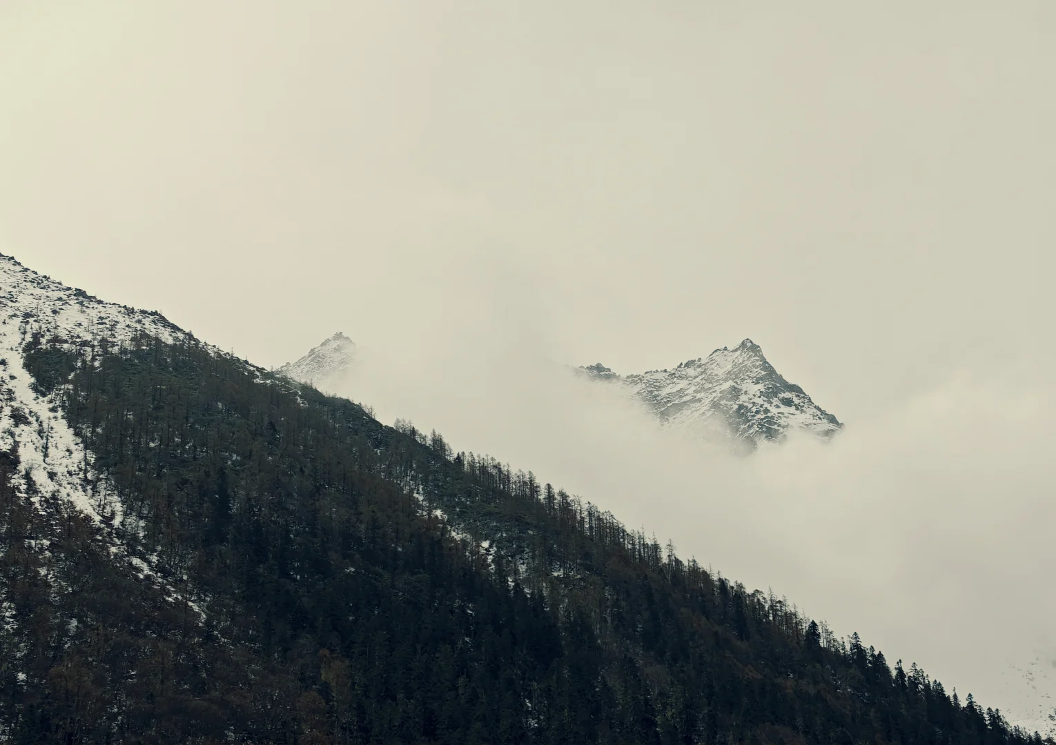 双桥沟雪景