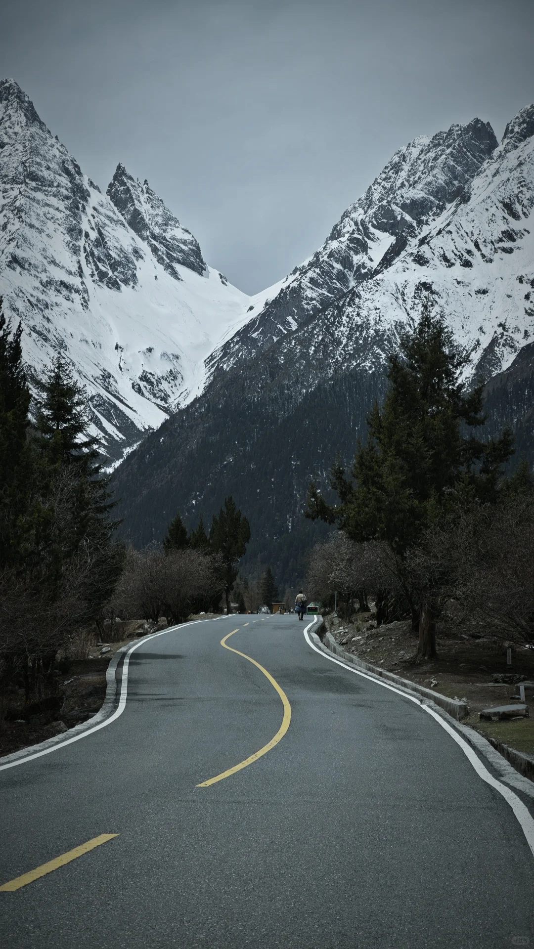 双桥沟雪景
