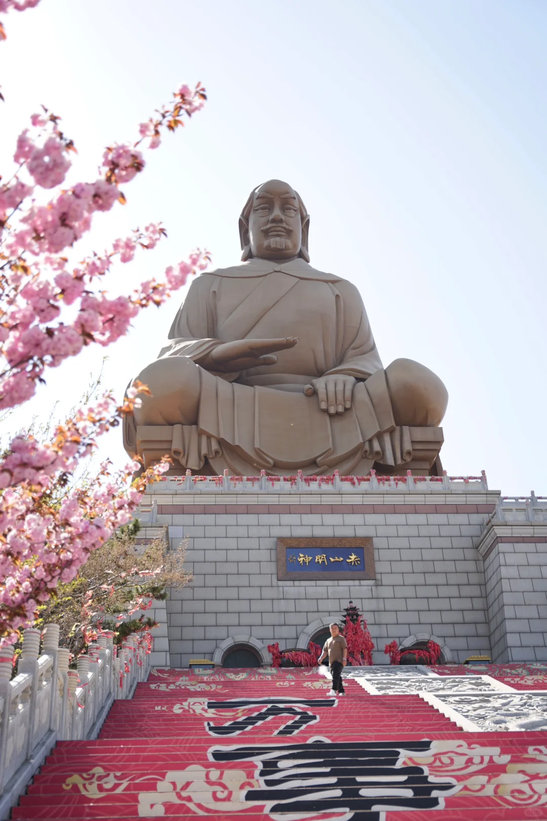 烟台五一周边游🌸威海石岛赤山樱花节‼️