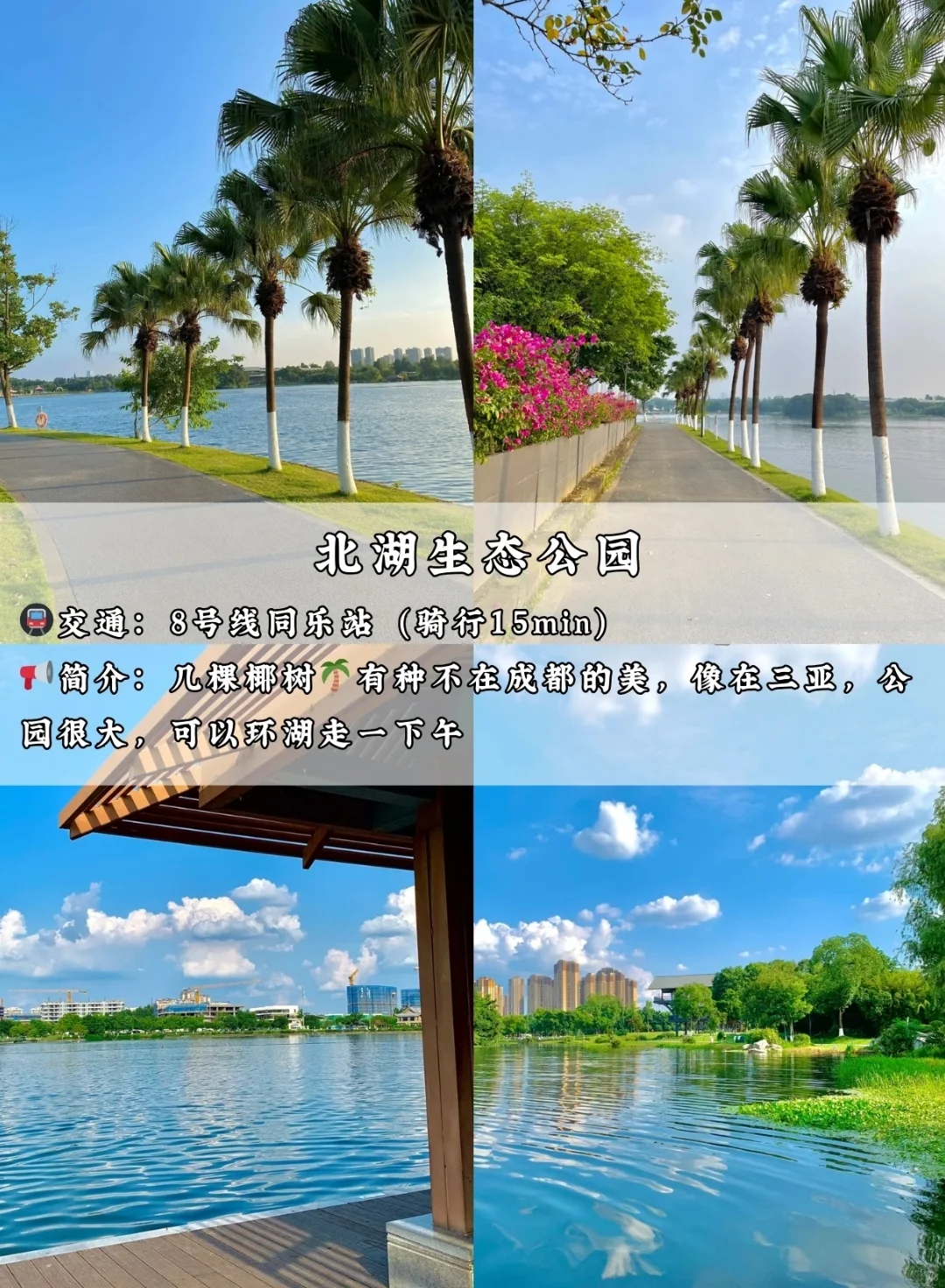 2025新春版✅适合闺蜜💗情侣穷游的城市