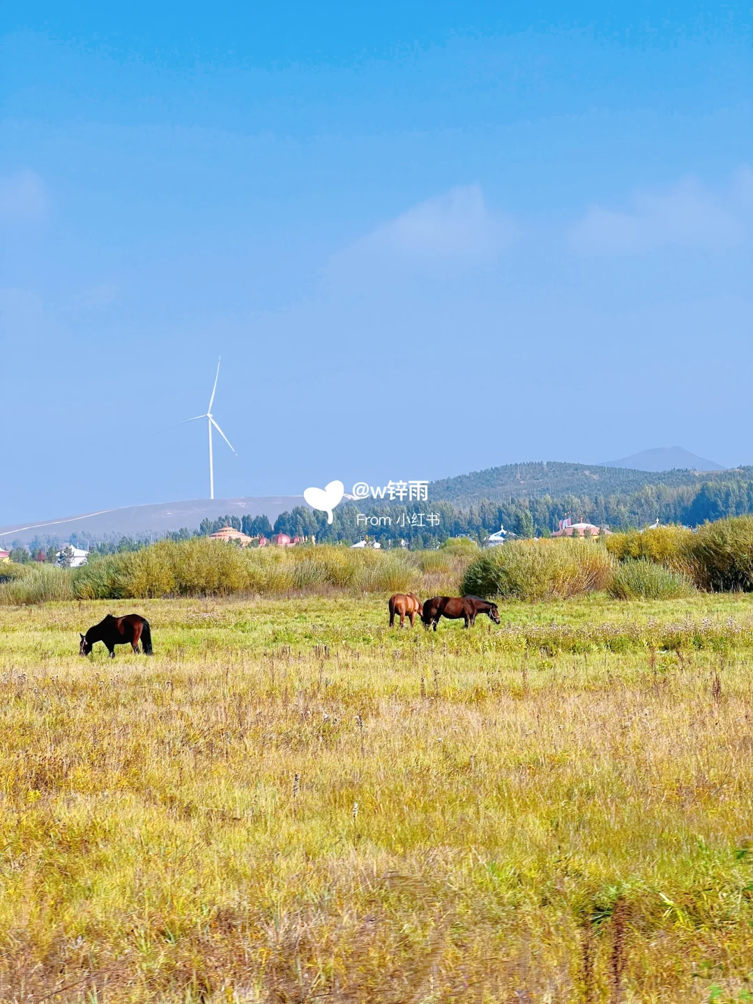 逃离城市｜来到了金秋时节的草原
