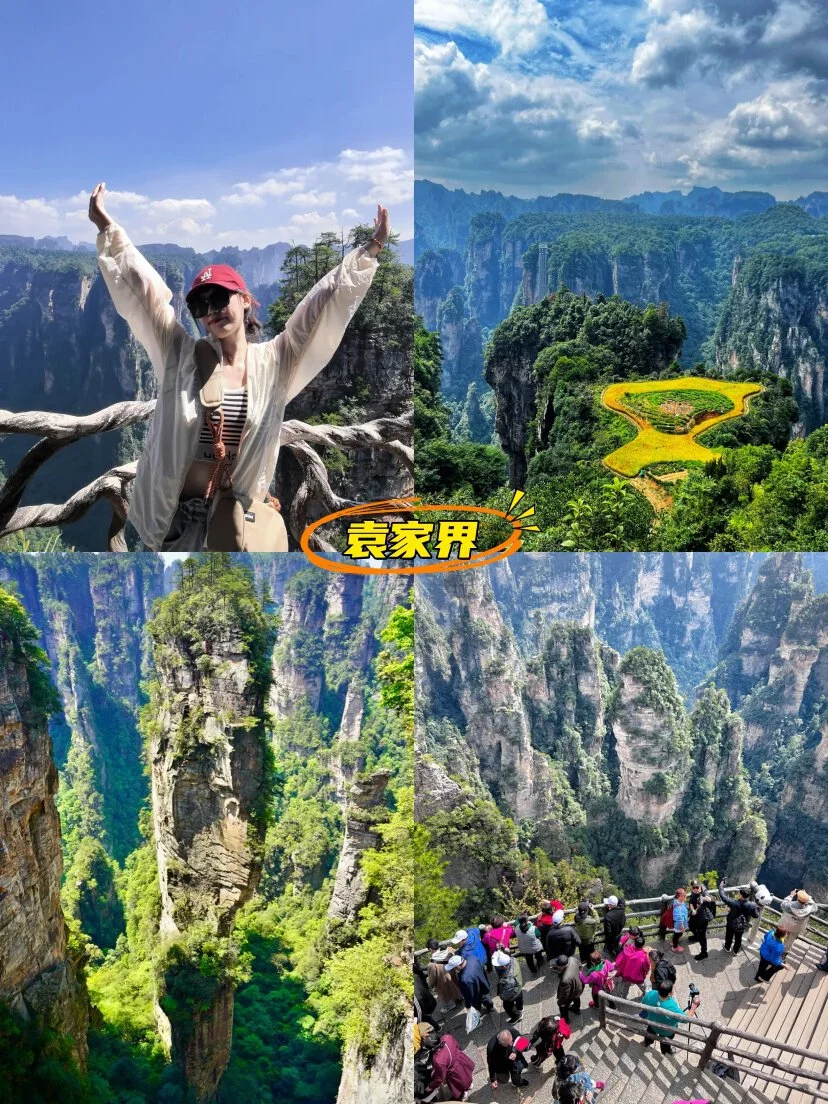 4月张家界凤凰5日嗨玩，纯玩小团不踩坑🥰