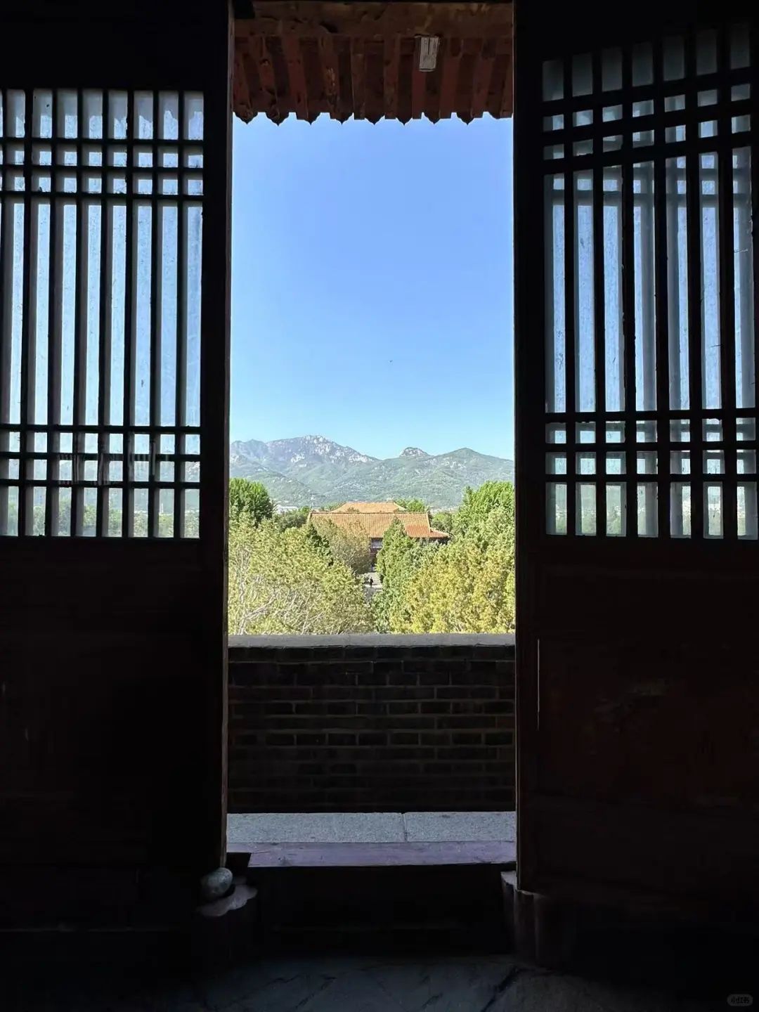 天平湖岱庙和老街和猫