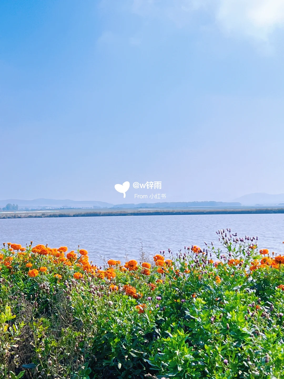 逃离城市｜来到了金秋时节的草原