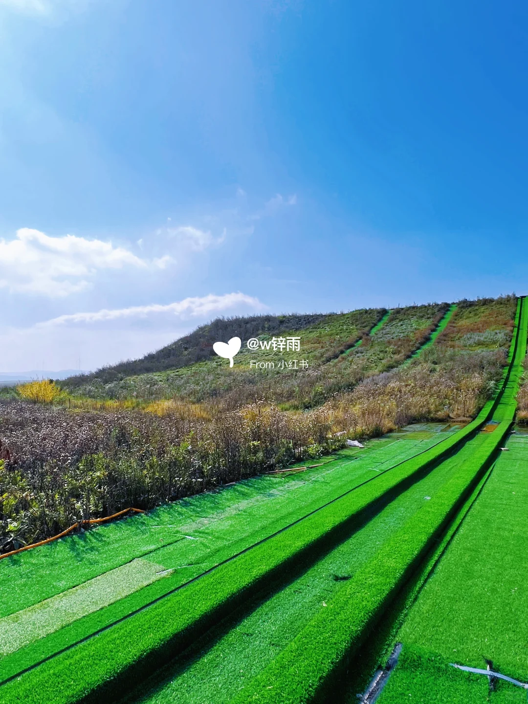逃离城市｜来到了金秋时节的草原