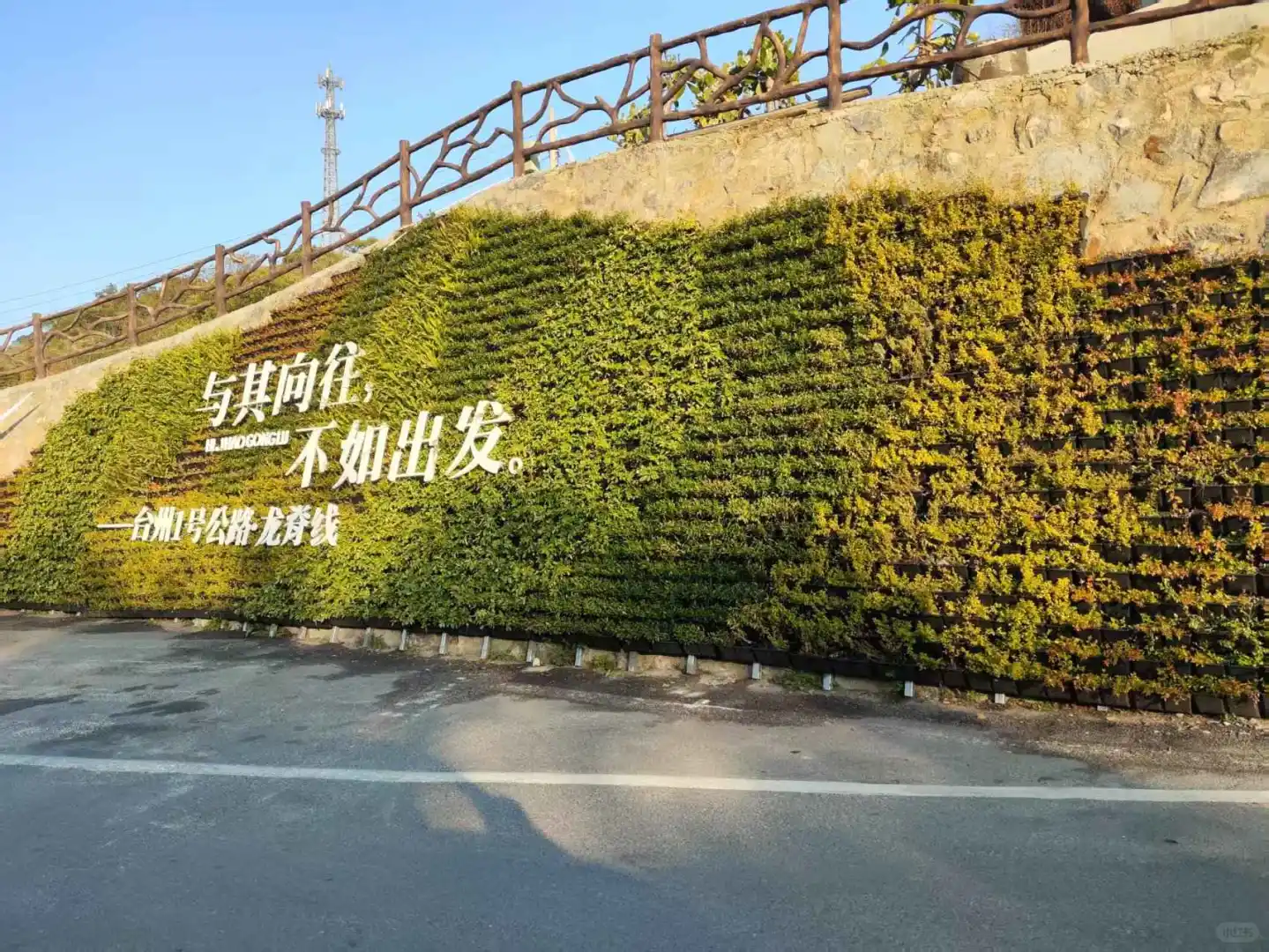 早知她如此,便不去这旅游了