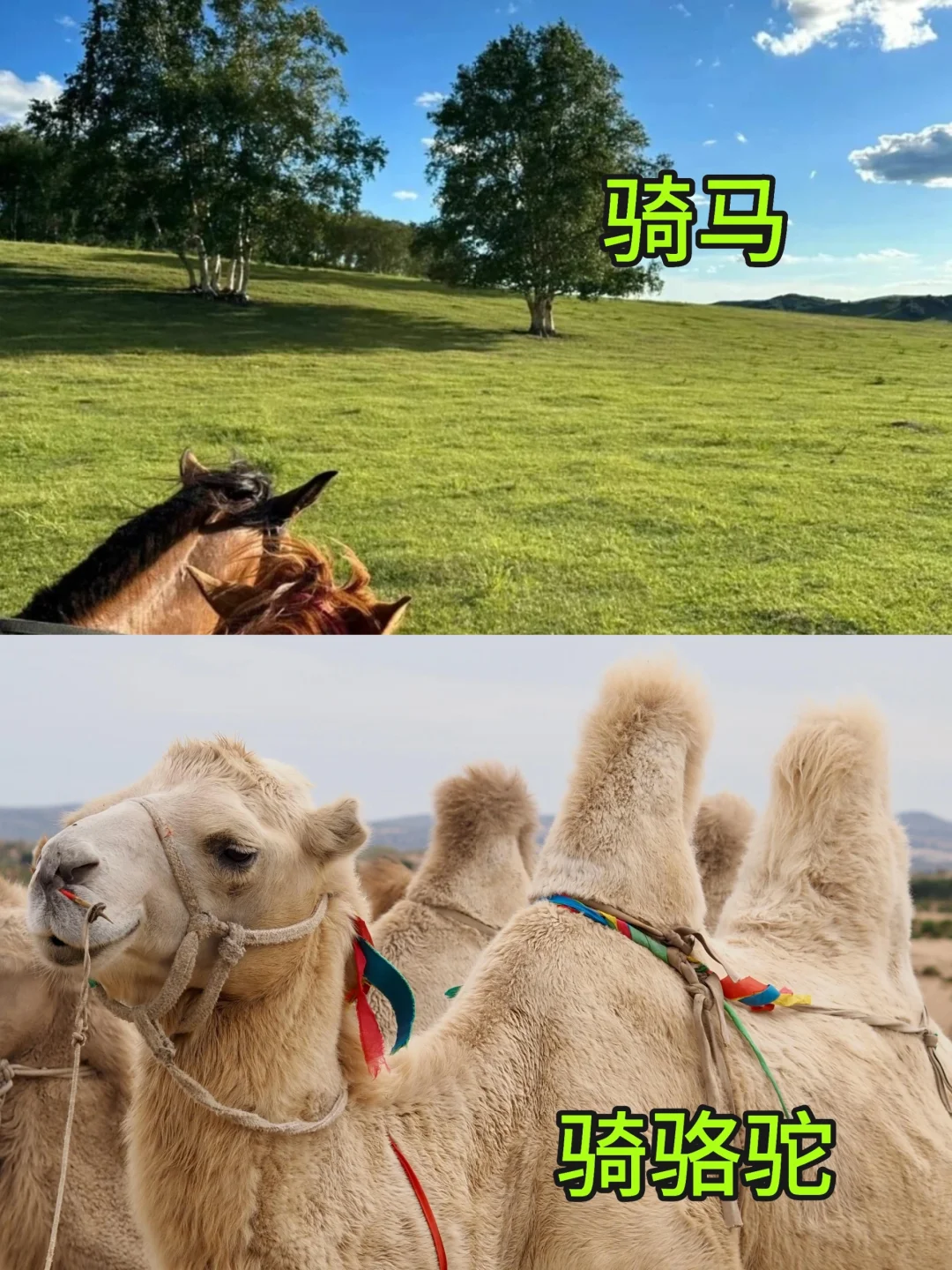 5天4晚避开人群‖五一向乌兰布统出发！