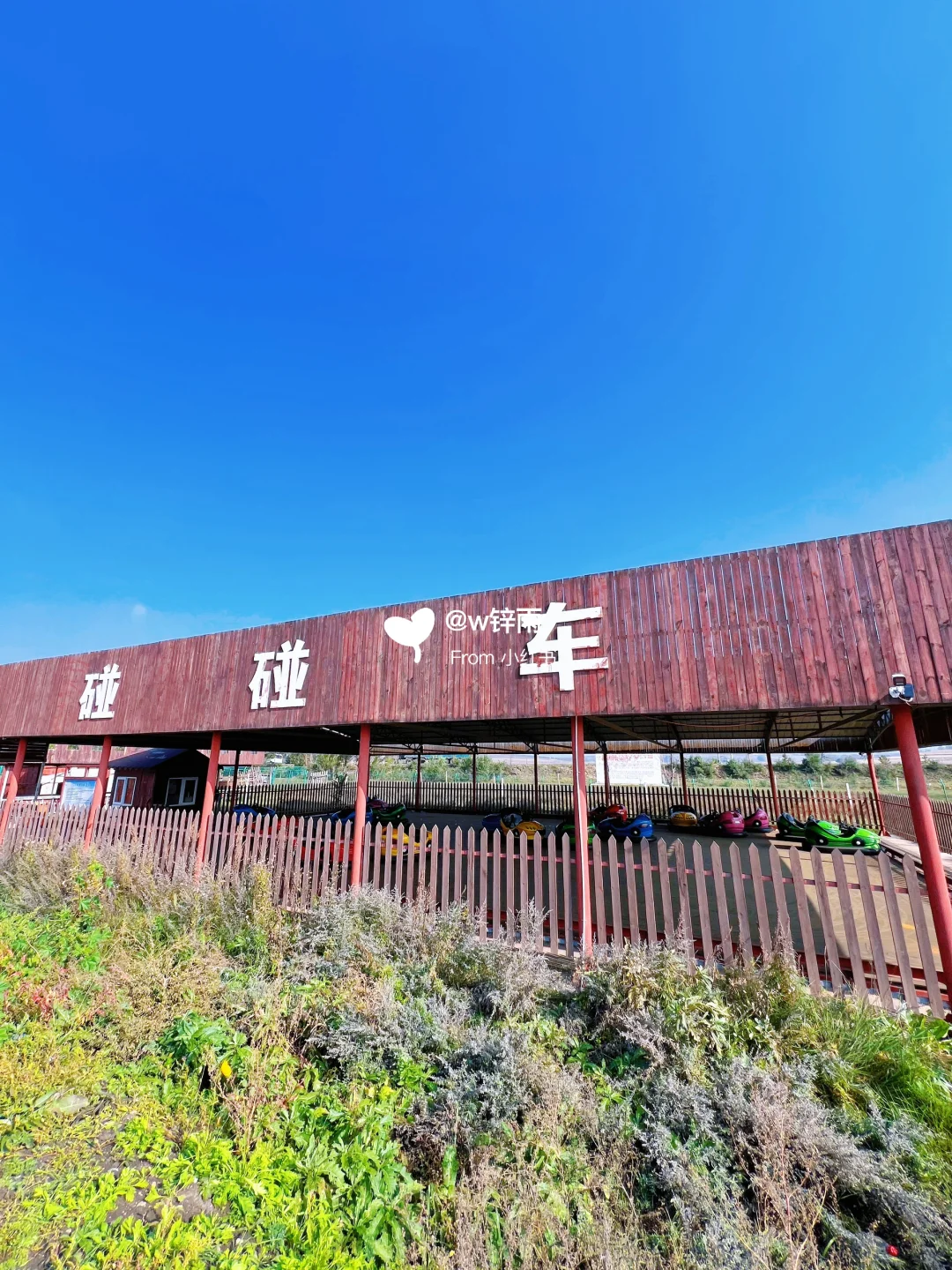 逃离城市｜来到了金秋时节的草原