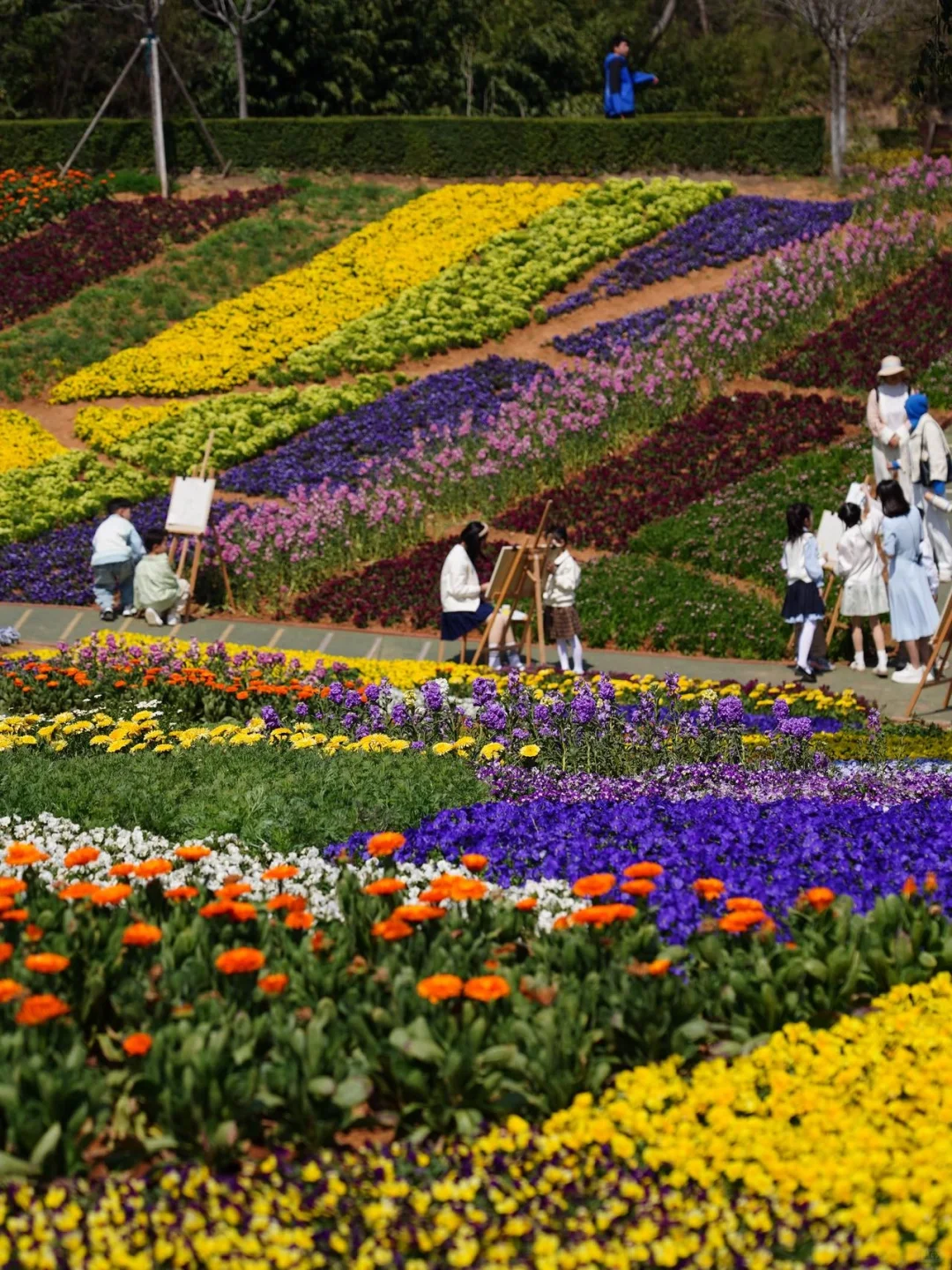 春日出逃计划｜在花谷奇缘实现人宠花海自由