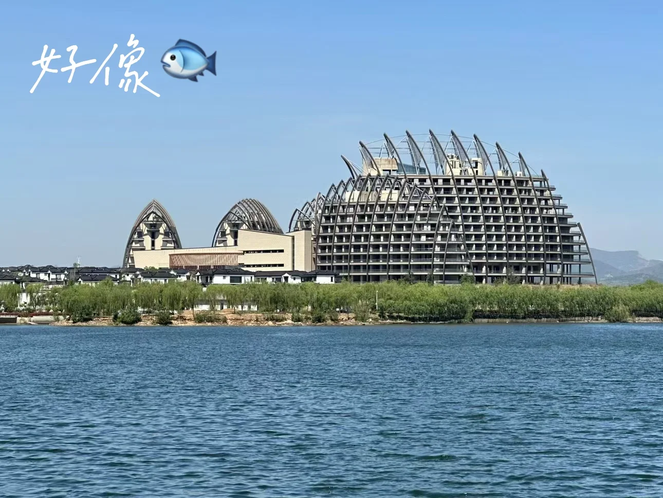 天平湖岱庙和老街和猫