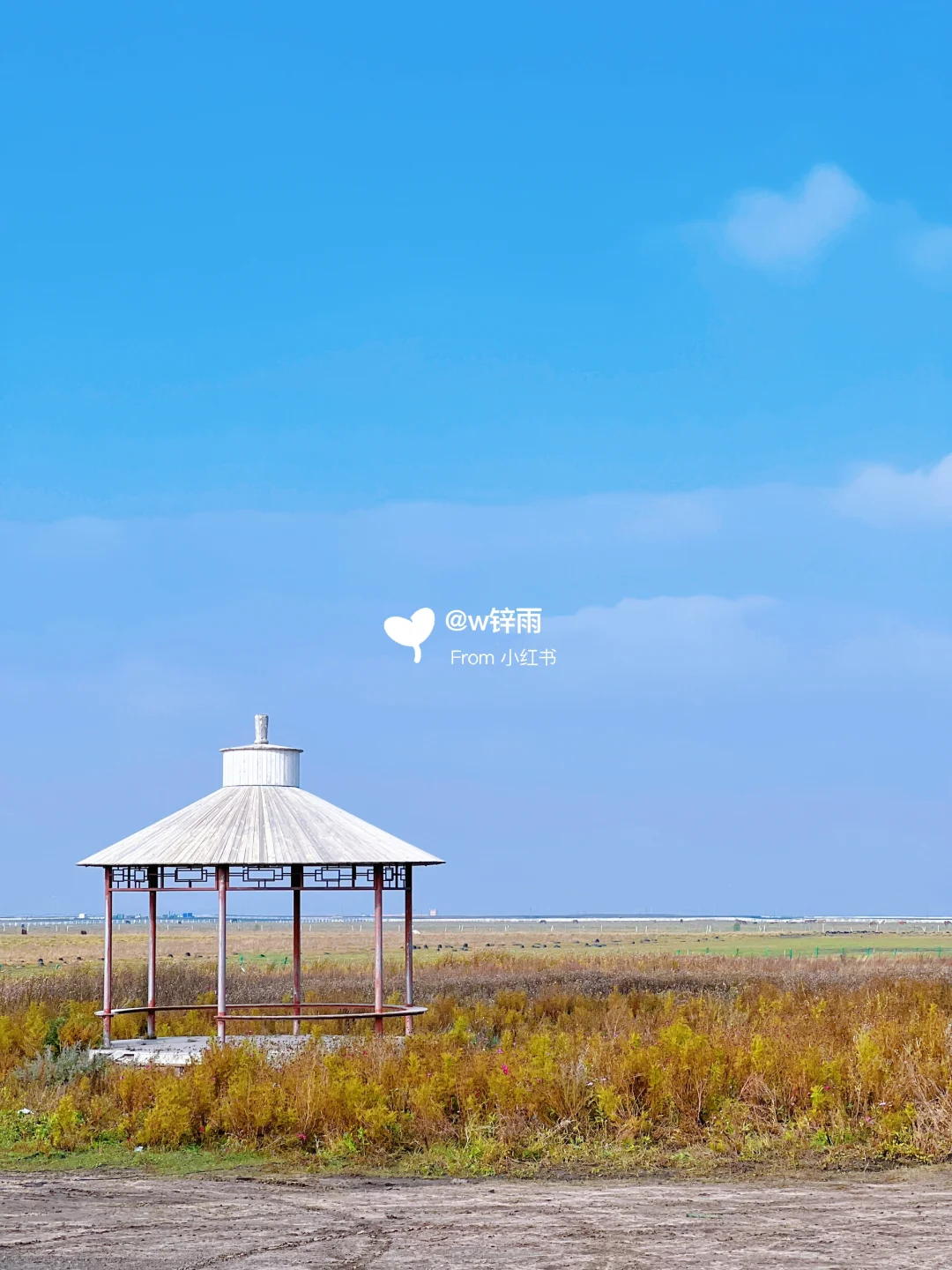 逃离城市｜来到了金秋时节的草原