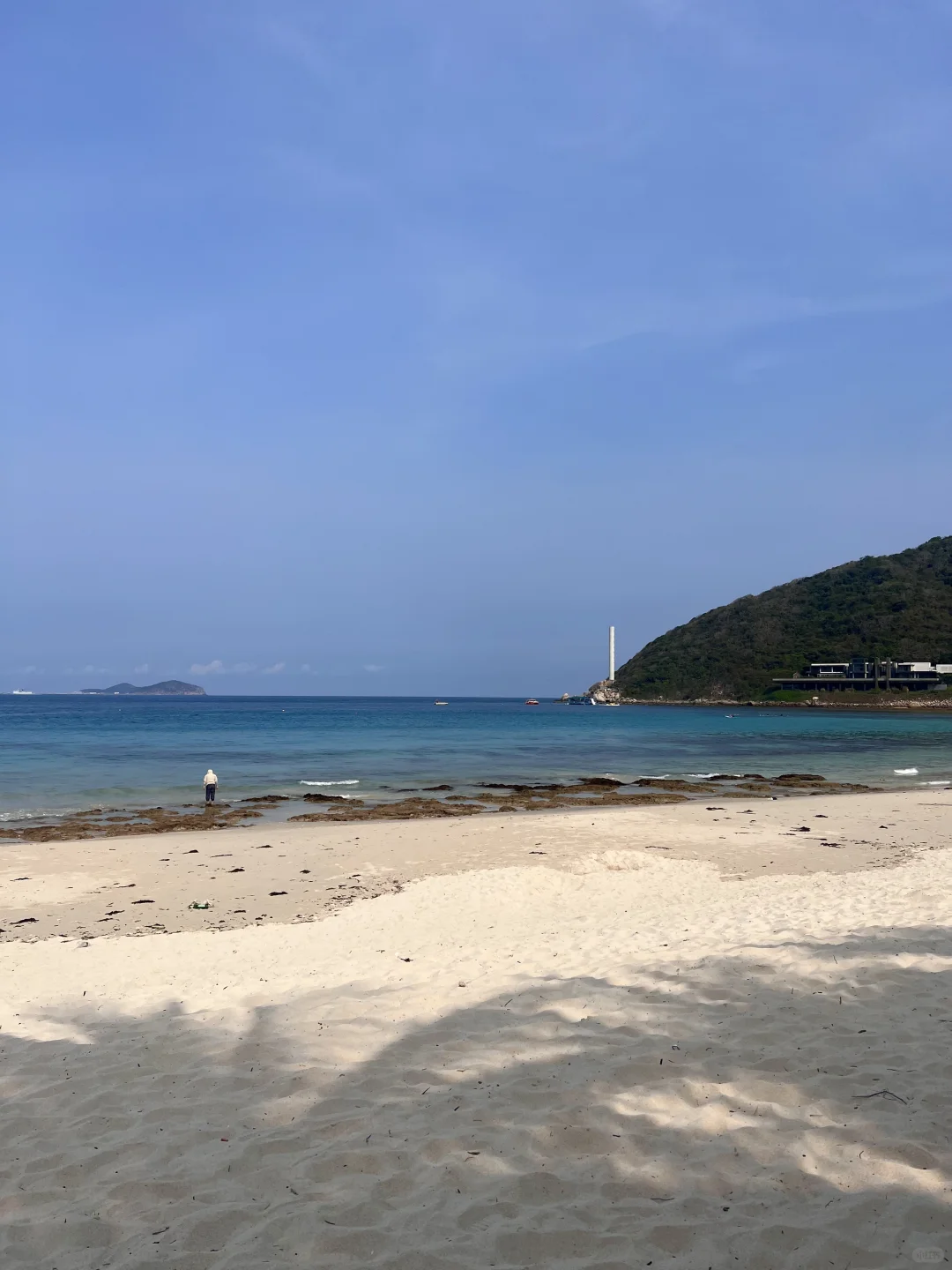 梦想变成海岛上的一颗椰子树可以吗🥥