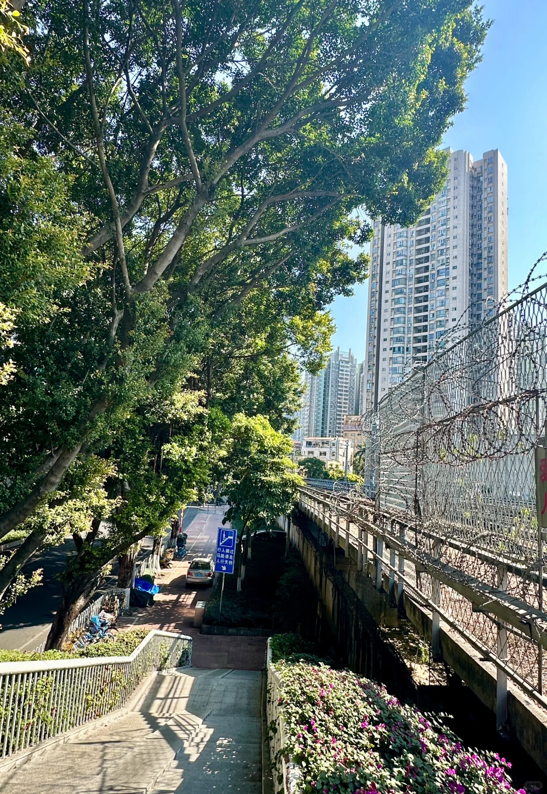 爱上一座城