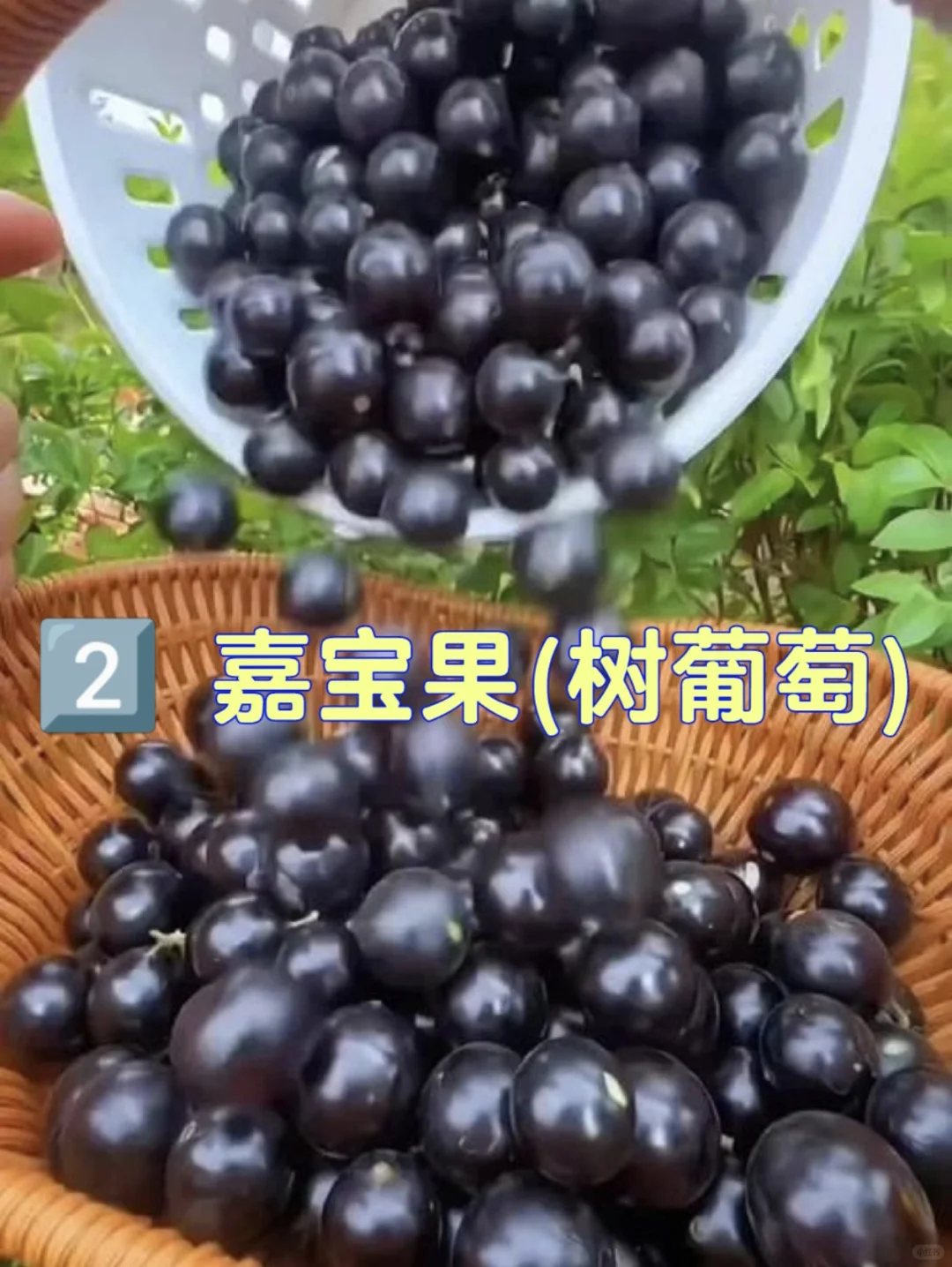 五一准备去景点？这些水果专坑你！