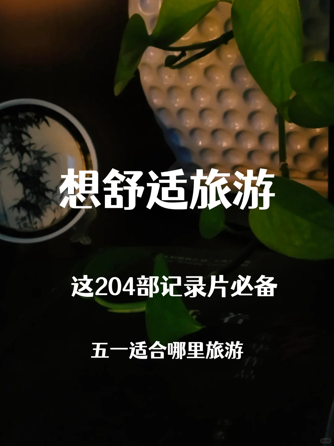五一旅游，从这204部旅行纪录片里选就够了