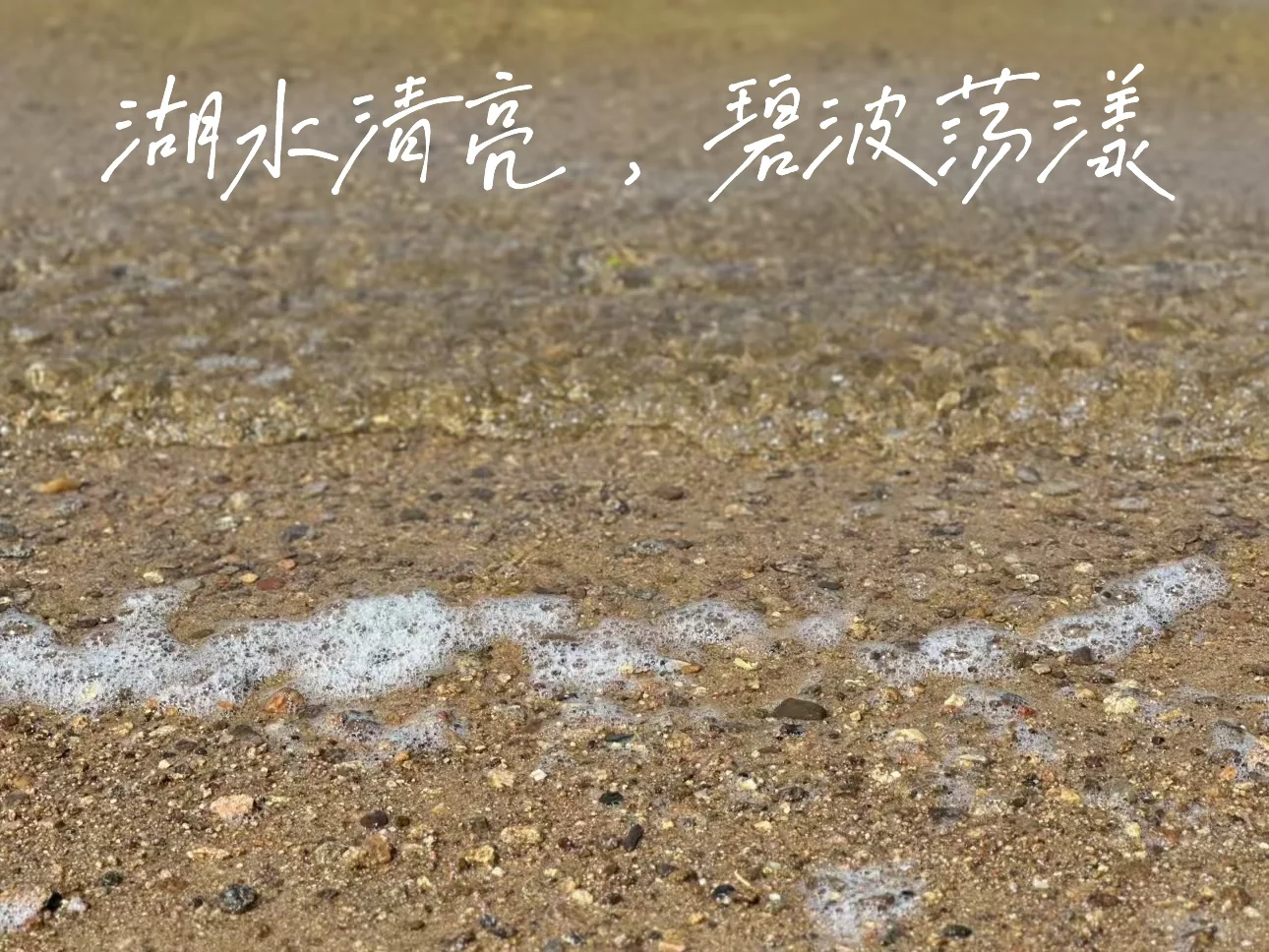 天平湖岱庙和老街和猫