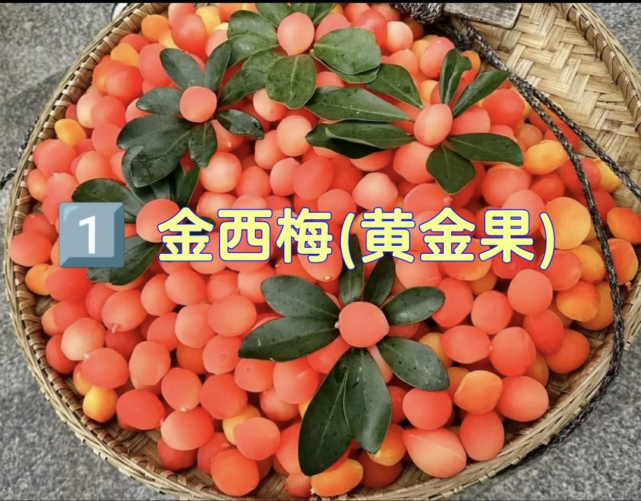 五一准备去景点？这些水果专坑你！