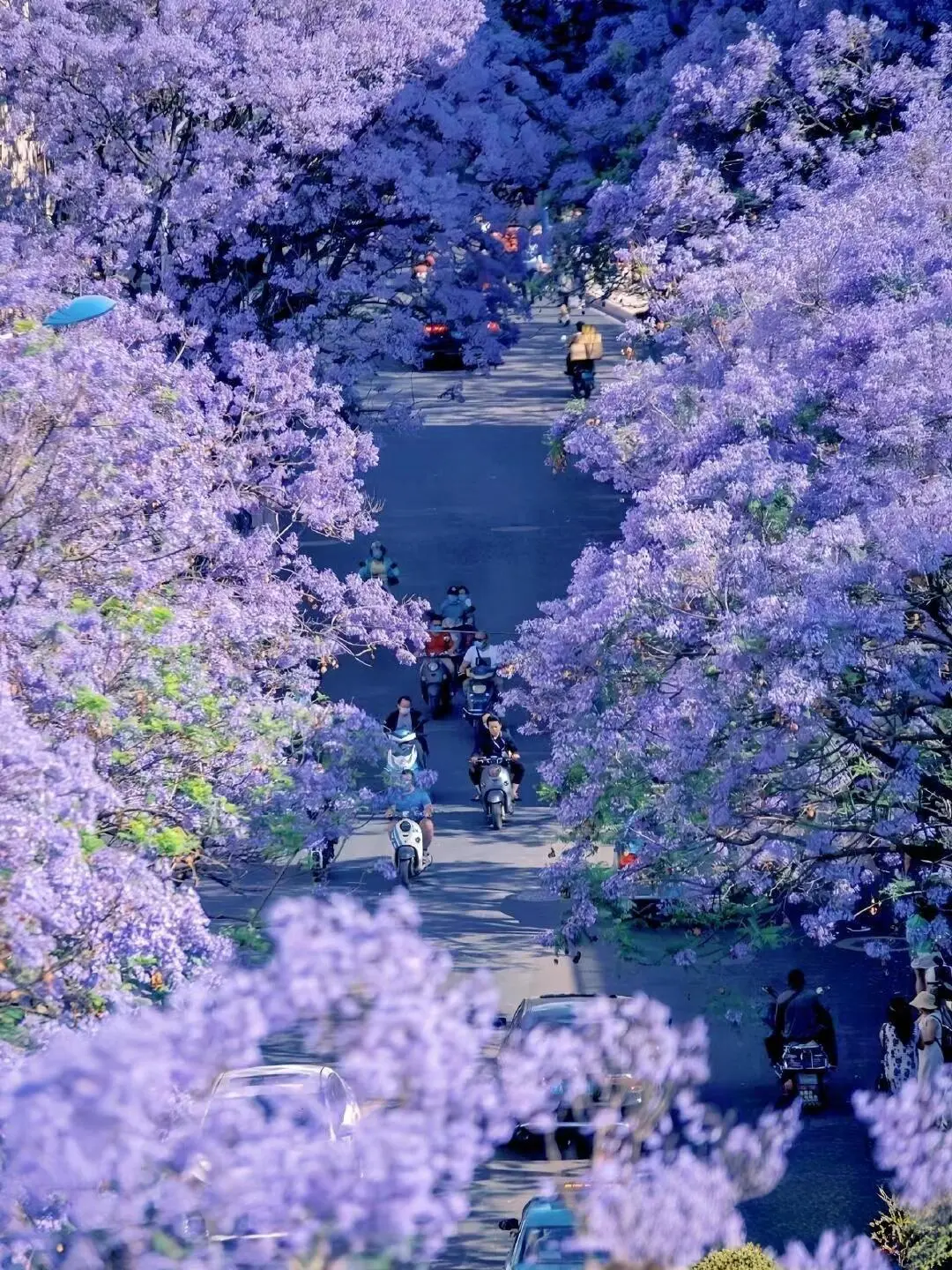 云南旅游真心建议5月6月淡季去，好玩不贵