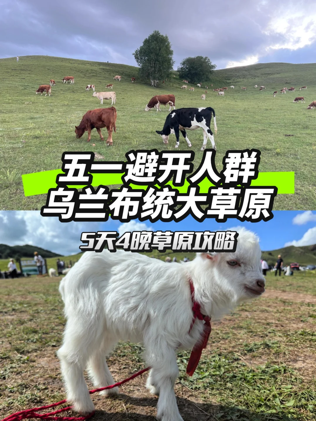 5天4晚避开人群‖五一向乌兰布统出发！