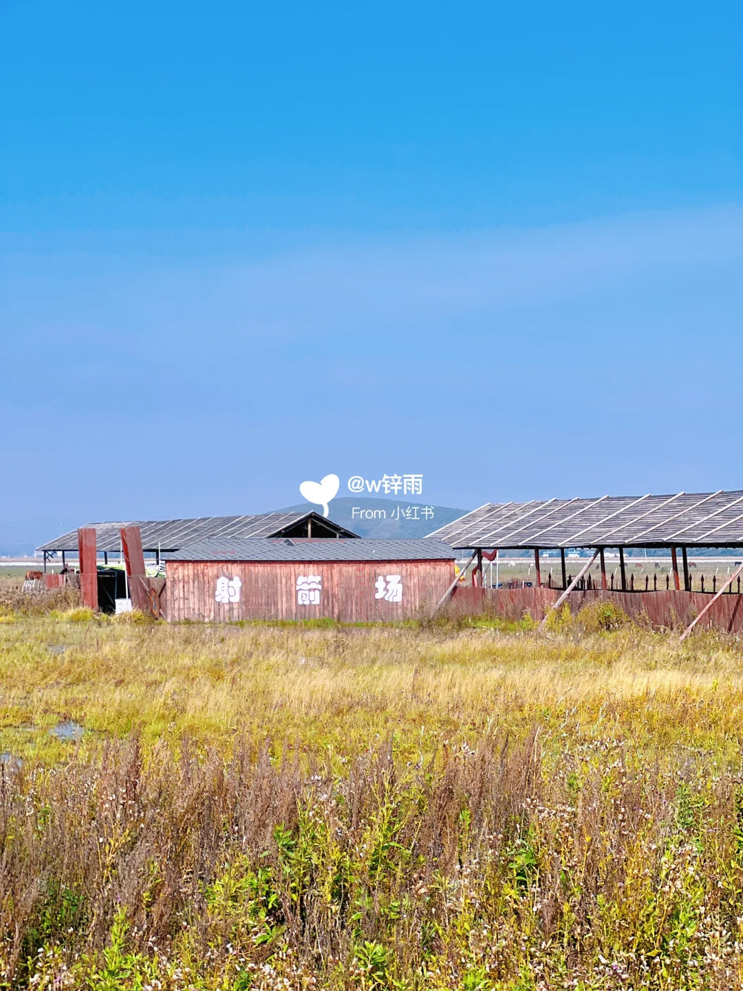 逃离城市｜来到了金秋时节的草原