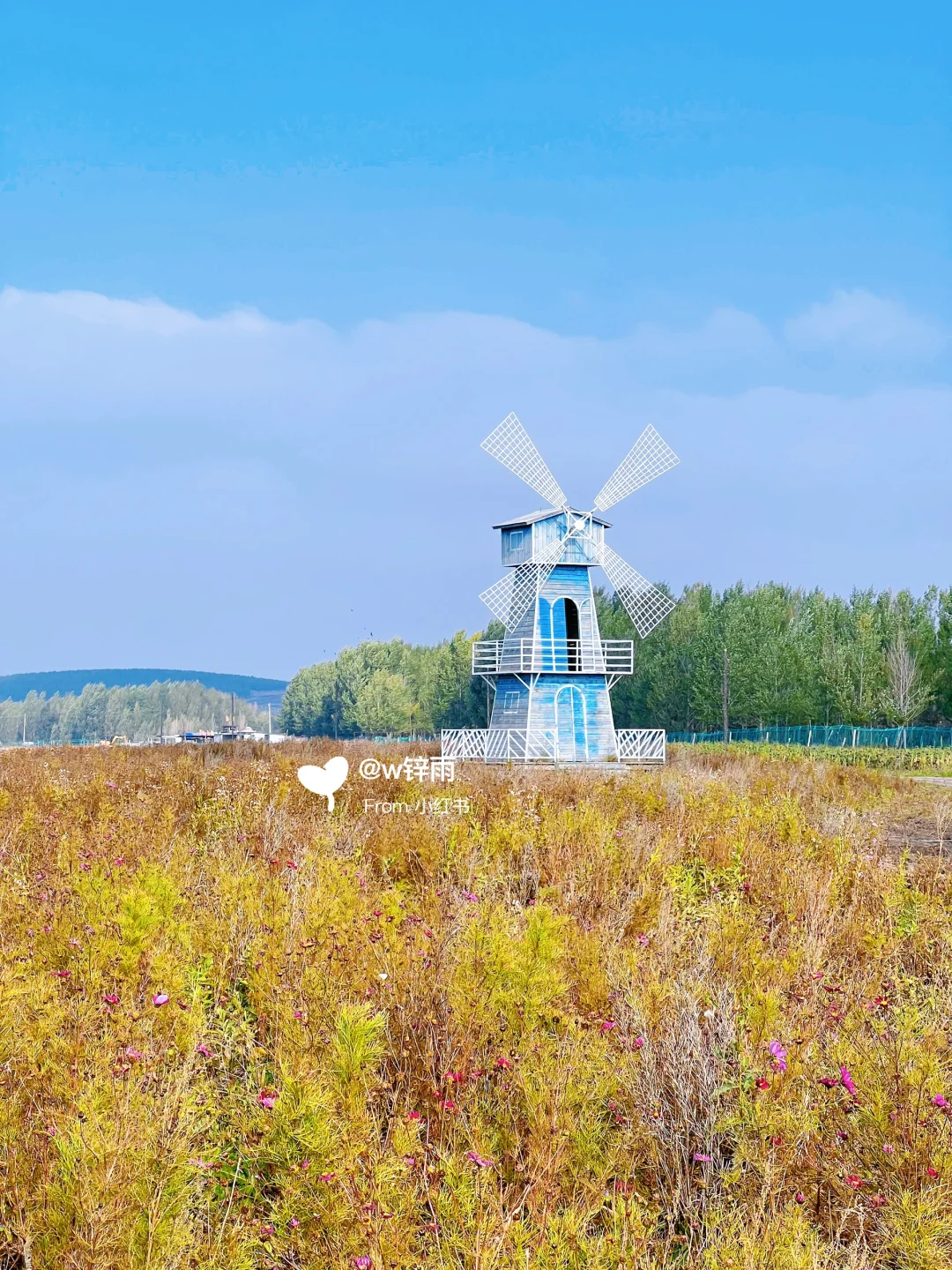 逃离城市｜来到了金秋时节的草原